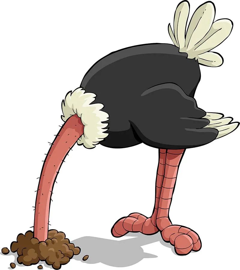 ostrich illustration holding head in sand