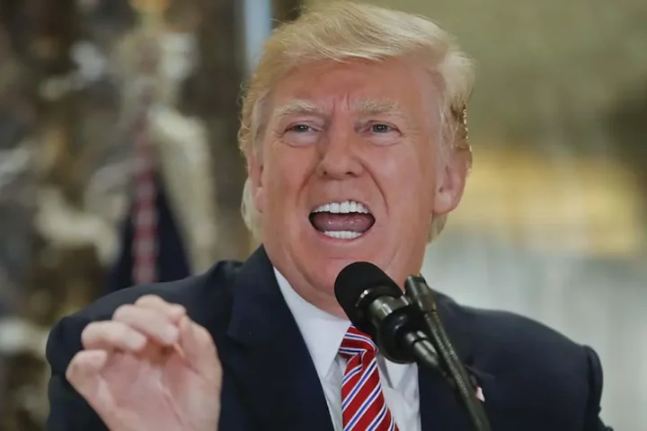 trump answering questions